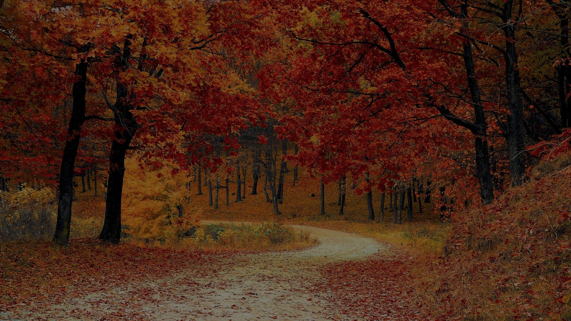 Herbstlandschaft