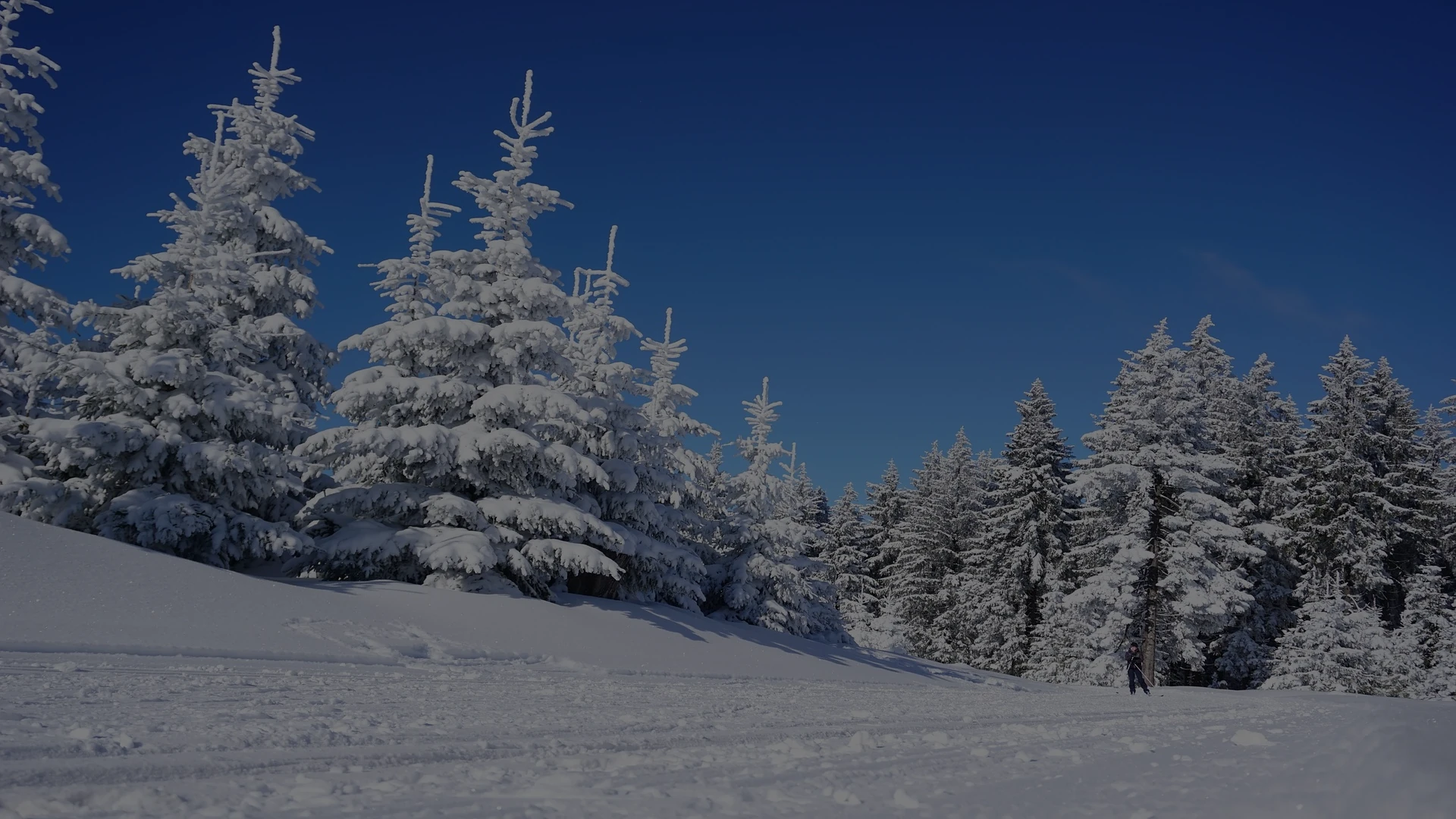 Schneelandschaft